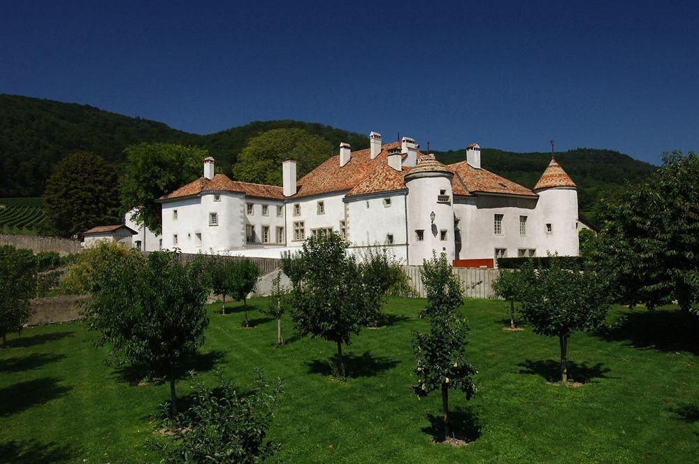 Chateau Le Rosey Hotel Nyon Eksteriør billede