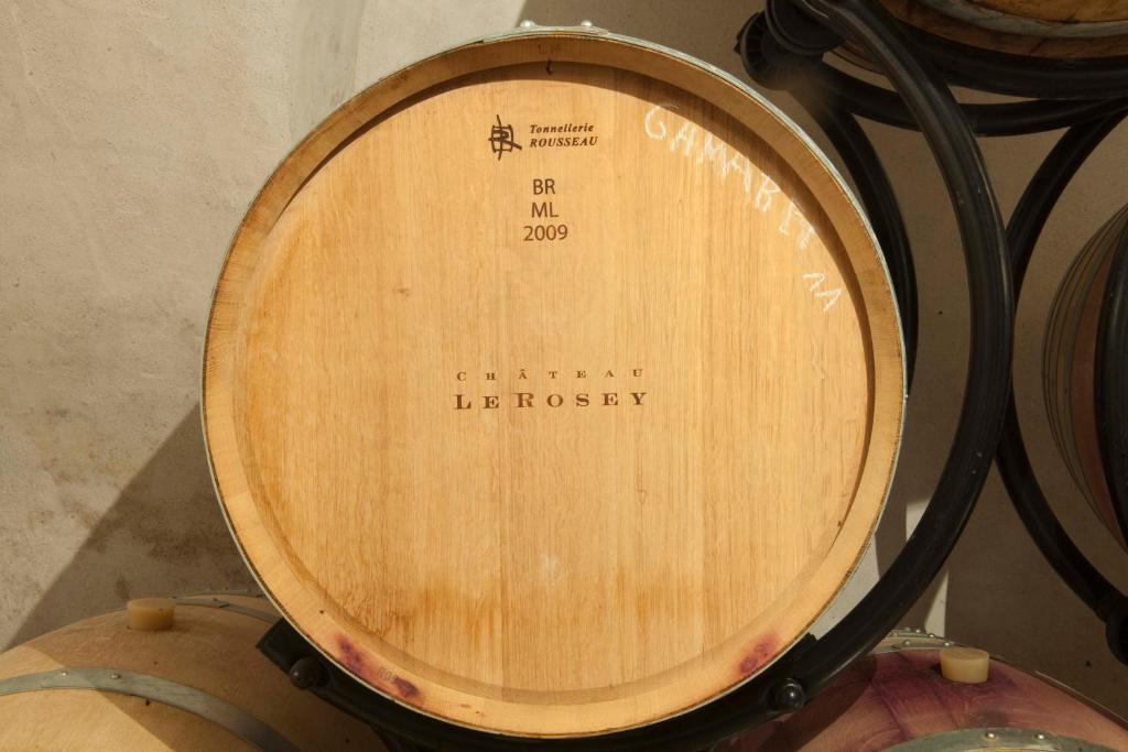 Chateau Le Rosey Hotel Nyon Eksteriør billede