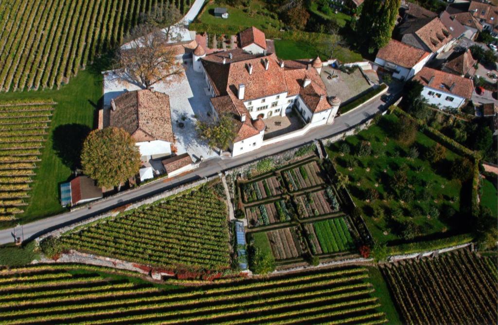 Chateau Le Rosey Hotel Nyon Eksteriør billede